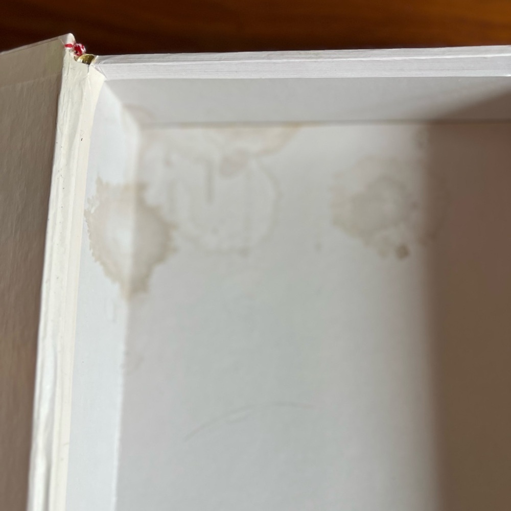 Set of 2 National Park Decorative Book Storage Boxes – Hidden Stash Faux Books - Picture 6 of 11